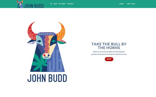 Screenshot of John Budd website